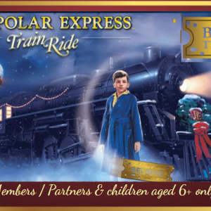 A christmas special for the kids - The Polar Express