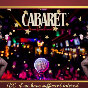 Cabaret Gold with one tribute act after another